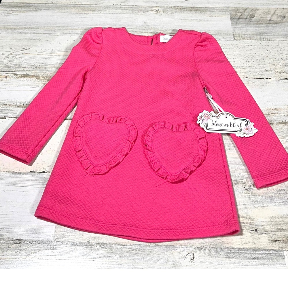 Blossom Blvd Heart Pocket Dress Kids 18M Pink New Quilted Long Sleeve Ruffle